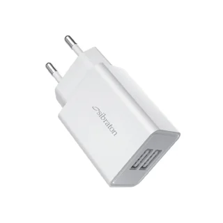 شارژر  دیواری 10 وات سیبراتون مدل S-W1245 101651378